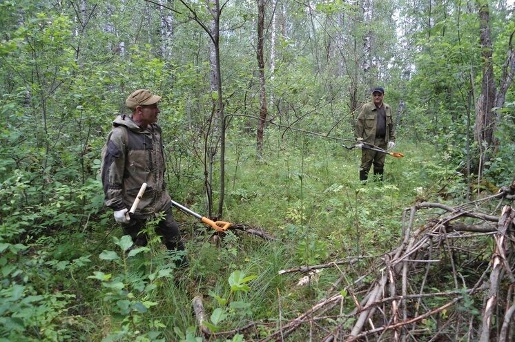 Во время поисков на месте боев 1941-го года были найдены экспонаты для Андреапольского музея Во время поисков на месте боев 1941-го года были найдены экспонаты для Андреапольского музея