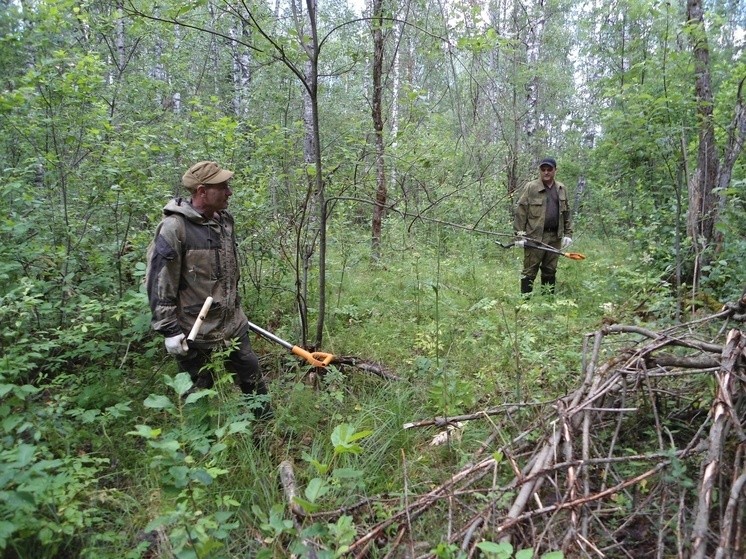 Во время поисков на месте боев 1941-го года были найдены экспонаты для Андреапольского музея