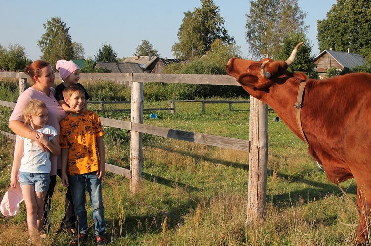 Многодетные семьи из Андреапольского округа приглашаются к участию в конкурсе «Лучшее семейное подворье-2023»