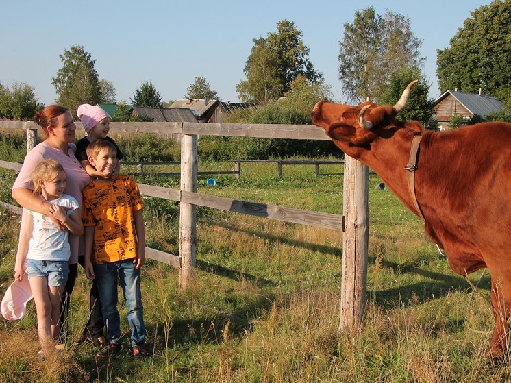 Многодетные семьи из Андреапольского округа приглашаются к участию в конкурсе «Лучшее семейное подворье-2023»