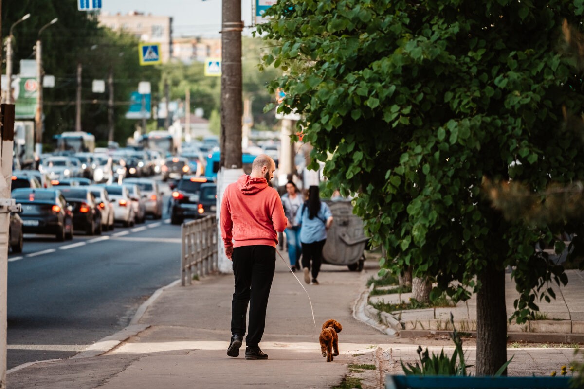 Россиянам рассказали, как правильно разговаривать с питомцем