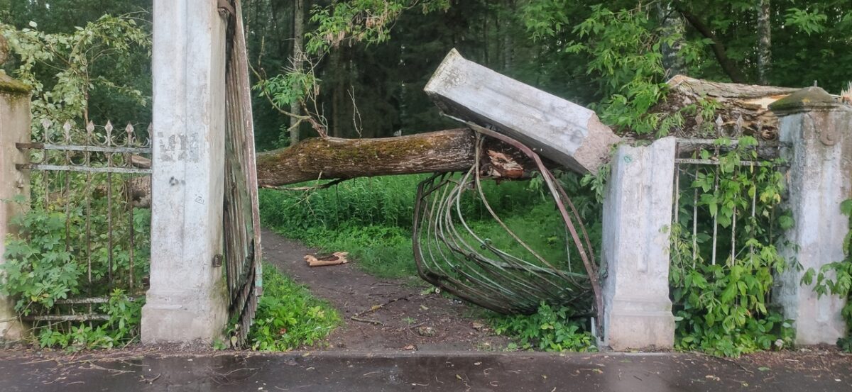 В Тверской области упавшее дерево сломало железобетонные ворота