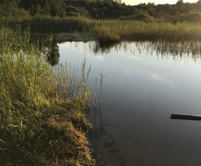 СКР работает на карьере, где утонул мальчик под Тверью