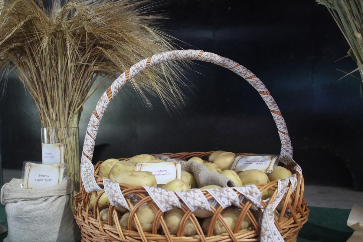 День поля объединил ученых, технологов и машиностроителей в Тверской области