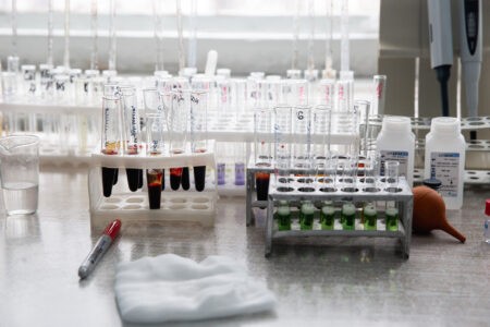 Клещи заразили 16 жителей Тверской области опасными вирусами