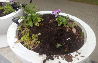 В Тверской области ищут ночных «героев», прятавших лица от камер