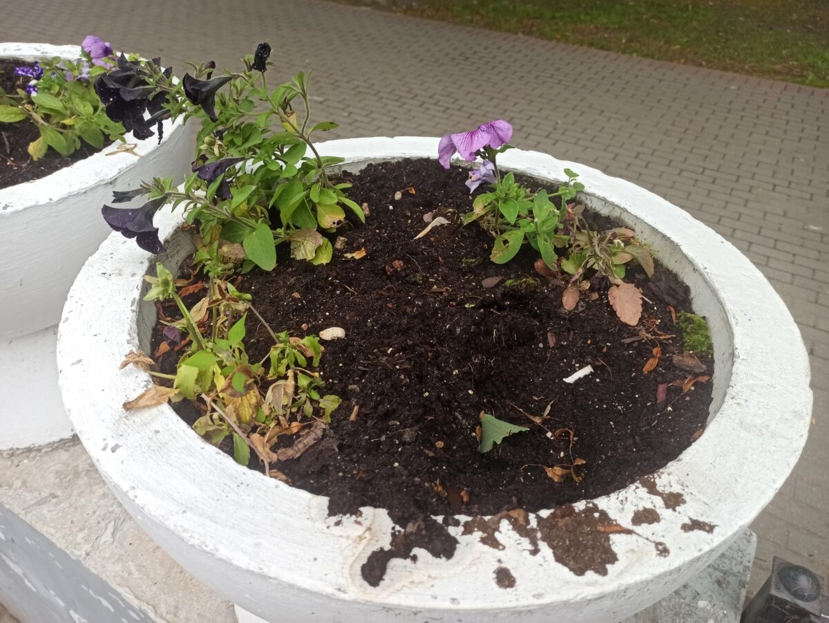 В Тверской области ищут ночных «героев», прятавших лица от камер