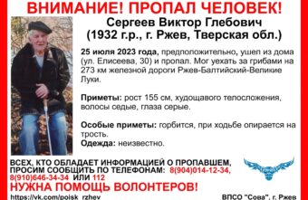 В Тверской области ищут пропавшего пенсионера с тростью В Тверской области ищут пропавшего пенсионера с тростью