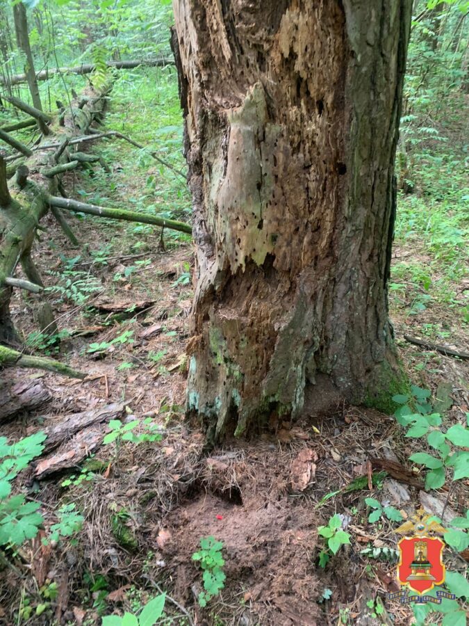 В Твери поймали молодого "закладчика" с координатами 75 тайников