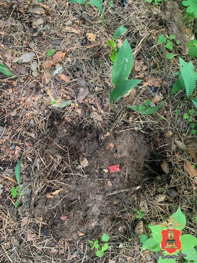 В Твери поймали молодого "закладчика" с координатами 75 тайников