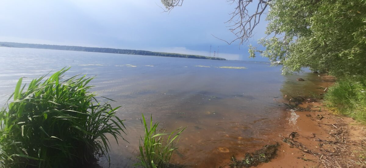 Жители Тверской области рассказали, как утонул молодой мужчина