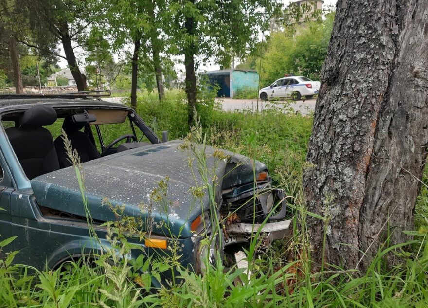 Под Тверью "Нива" съехала в кювет и врезалась в дерево