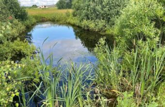 В Тверской области выясняют подробности смерти рыбака