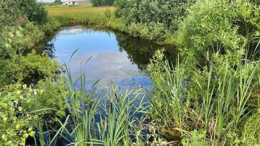 В Тверской области выясняют подробности смерти рыбака