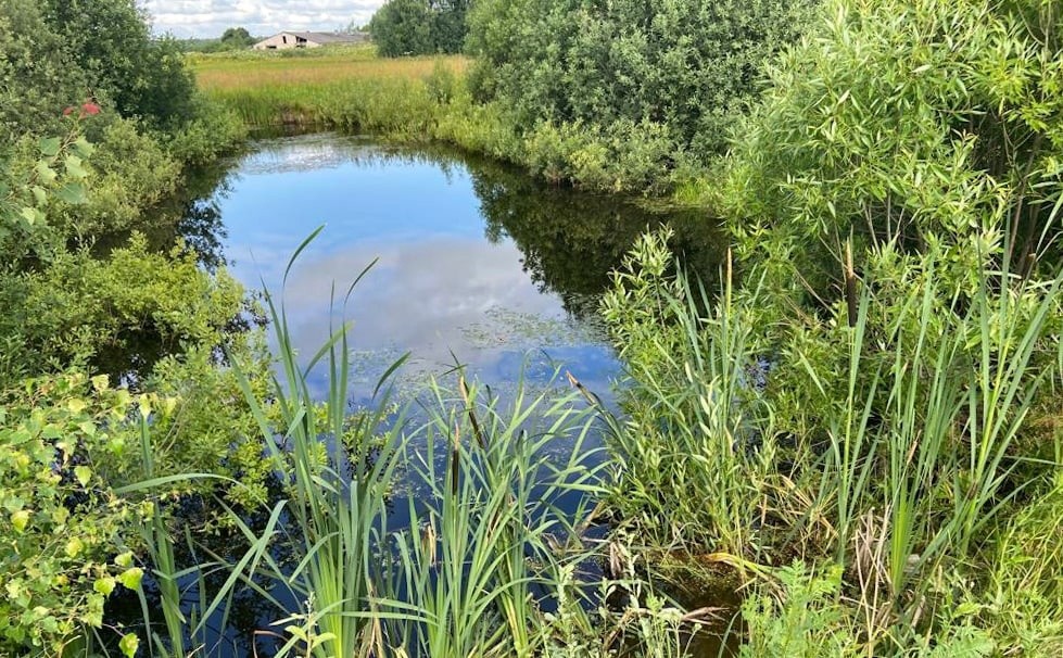 В Тверской области выясняют подробности смерти рыбака В Тверской области выясняют подробности смерти рыбака