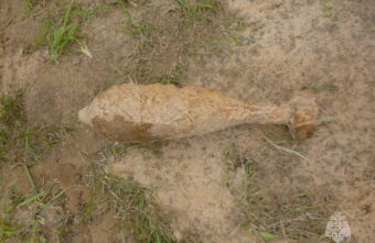 В Тверской области обезвредили минометную мину