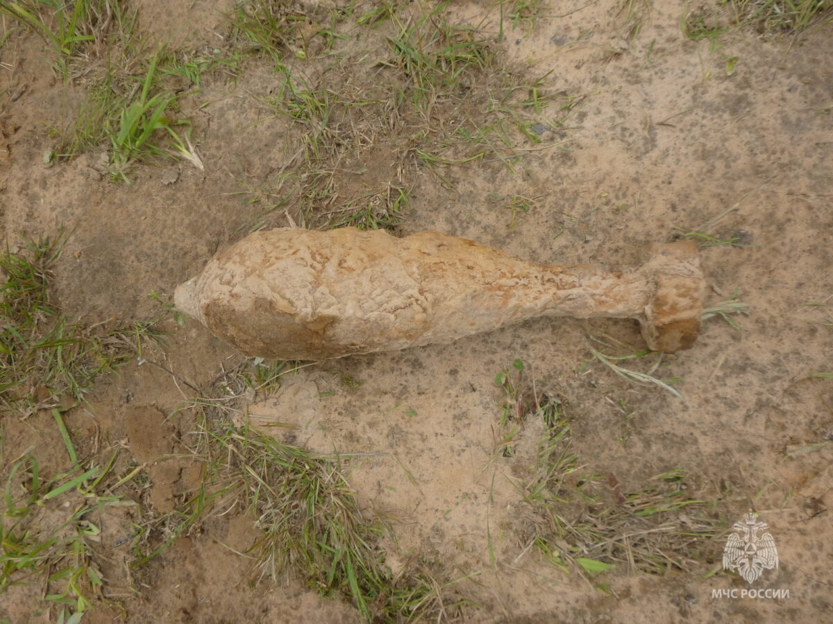 В Тверской области обезвредили минометную мину