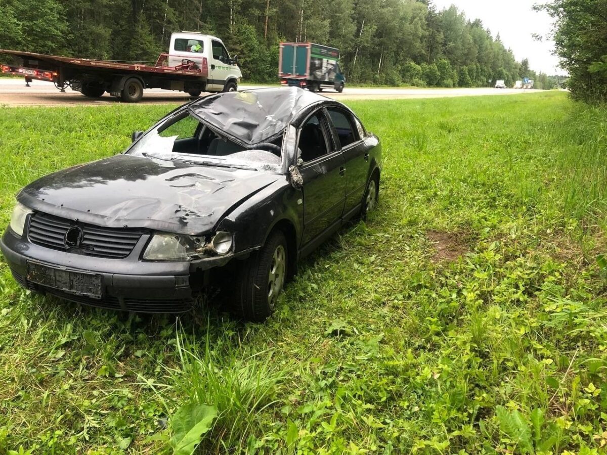 Водитель "Фольксвагена" сбил лося на трассе в Тверской области