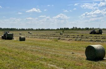 Хозяйства Тверской области заготавливают корма для животноводства