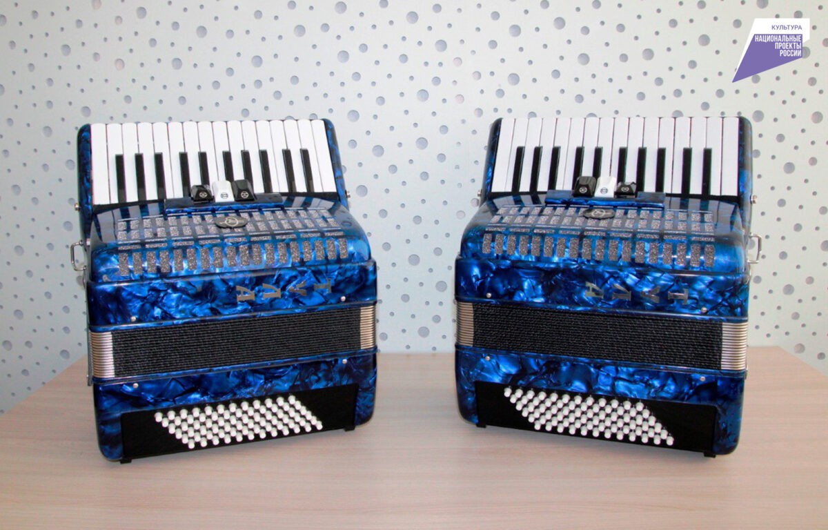 Для школ искусств Тверской области купят новые музыкальные инструменты