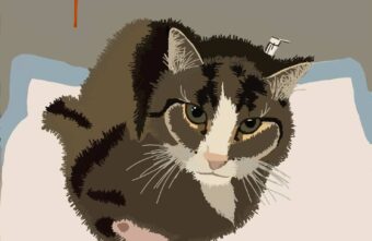 Появилось сообщество по поиску преступника, изнасиловавшего Гришу в Тверской области