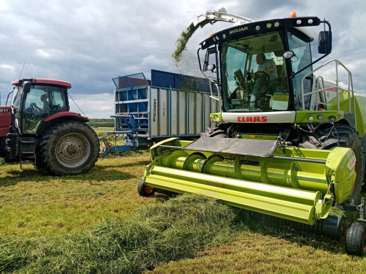 Аграрии Тверской области наращивают объемы заготовки кормов для животноводства