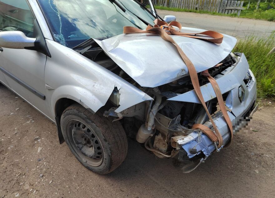 Женщина и девочка пострадали в ДТП в Тверской области