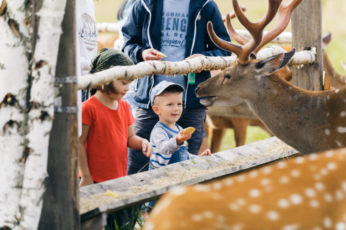 Сельхозпредприятия Тверской области получат господдержку Сельхозпредприятия Тверской области получат господдержку