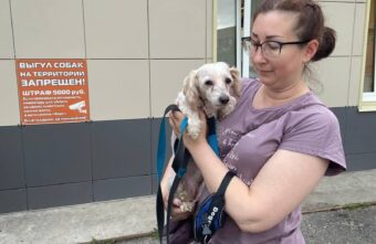 Всех собак, найденных в квартире умершей женщины в Тверской области, забрали новые хозяева Всех собак, найденных в квартире умершей женщины в Тверской области, забрали новые хозяева