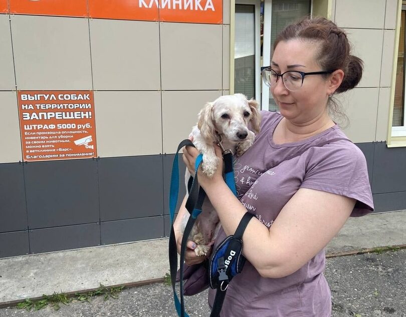 Всех собак, найденных в квартире умершей женщины в Тверской области, забрали новые хозяева