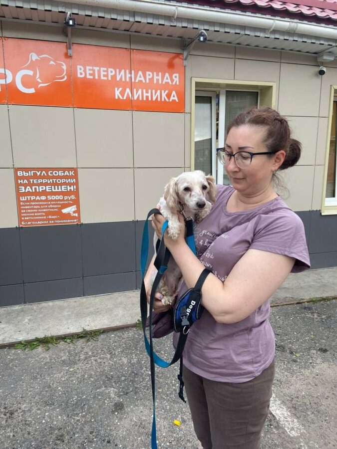 Всех собак, найденных в квартире умершей женщины в Тверской области, забрали новые хозяева