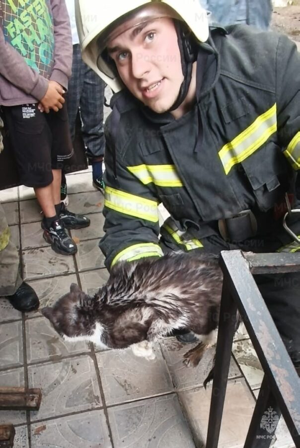 В Тверской области спасли кота, застрявшего в системе для полива