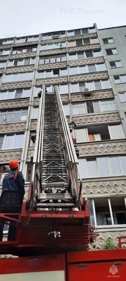 Тверские пожарные спасли застрявшего в окне балкона кота