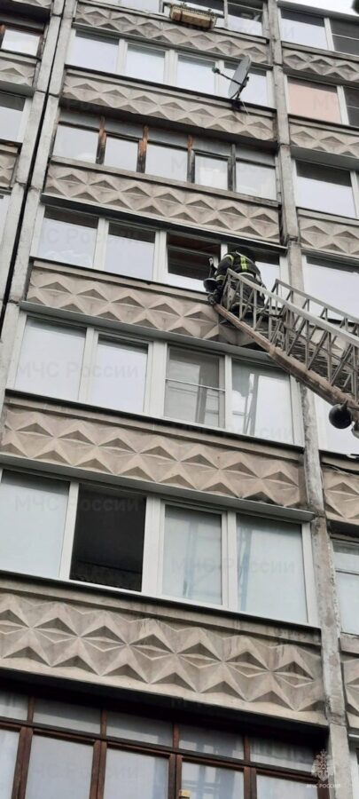 Тверские пожарные спасли застрявшего в окне балкона кота