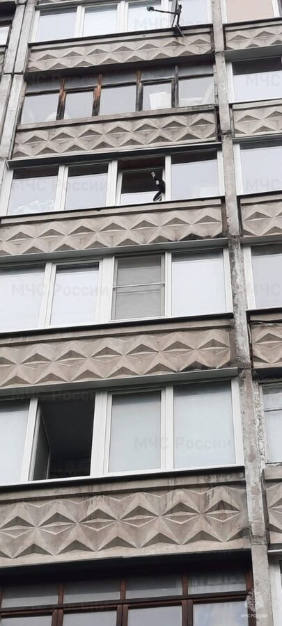 Тверские пожарные спасли застрявшего в окне балкона кота