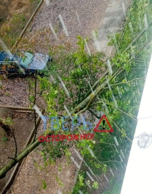Из-за сильного ветра на дом в Твери упало дерево