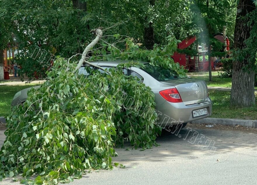 Повезло или нет: в Твери на стоящую машину упала ветка