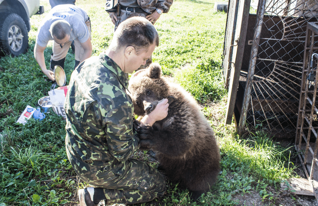 Историю дружбы лётчика из Тверской области и медведя покажут на телеканале «ТВ-3»