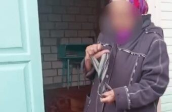 Суд наказал пенсионерку, задушившую соседского кота в Тверской области Суд наказал пенсионерку, задушившую соседского кота в Тверской области