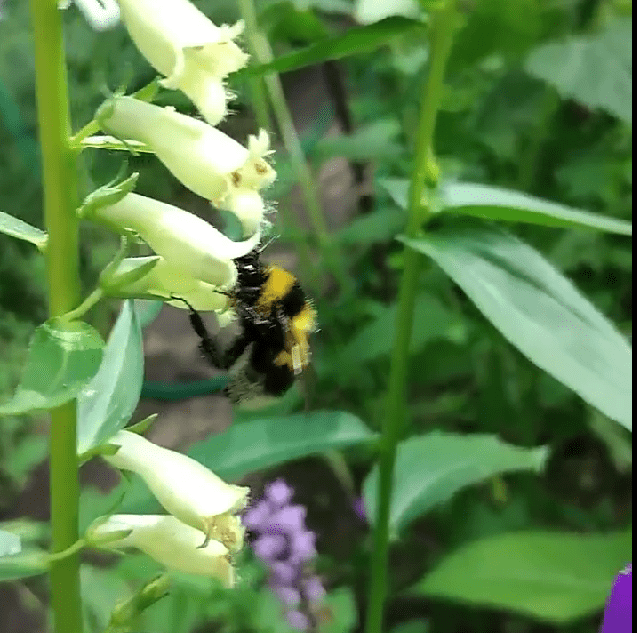 Передозировка смертельна: в Твери расцвели «рюмочники»