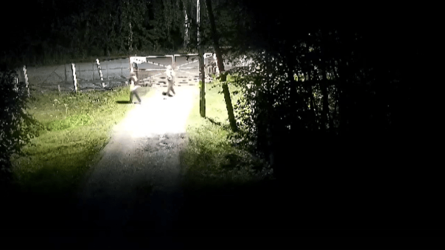 Молодые вандалы громят дачи под Тверью