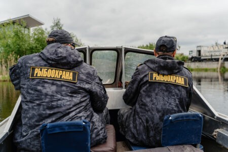 Жителя Тверской области наказали за незаконную ловлю щук