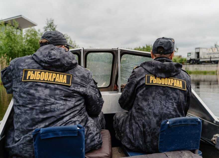 Жителя Тверской области наказали за незаконную ловлю щук
