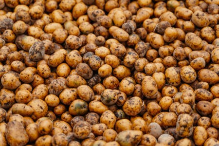 Жительница Тверской области получила штраф за ссору из-за картошки