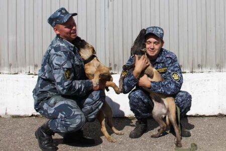 На службу в Тверской области поступили четыре ушастых бойца