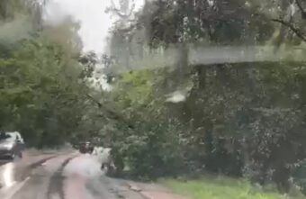 Под Тверью упавшее дерево перегородило дорогу Под Тверью упавшее дерево перегородило дорогу