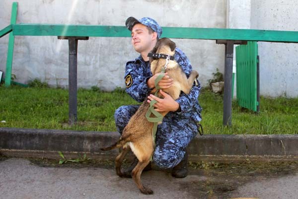 На службу в Тверской области поступили четыре ушастых бойца