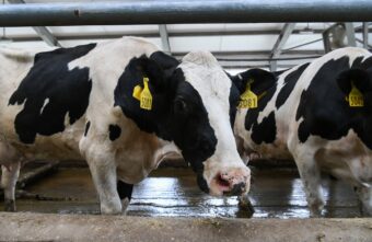 Аграрный комплекс получит новый импульс развития