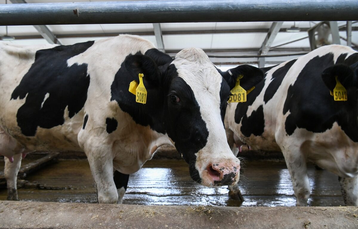 Аграрный комплекс получит новый импульс развития
