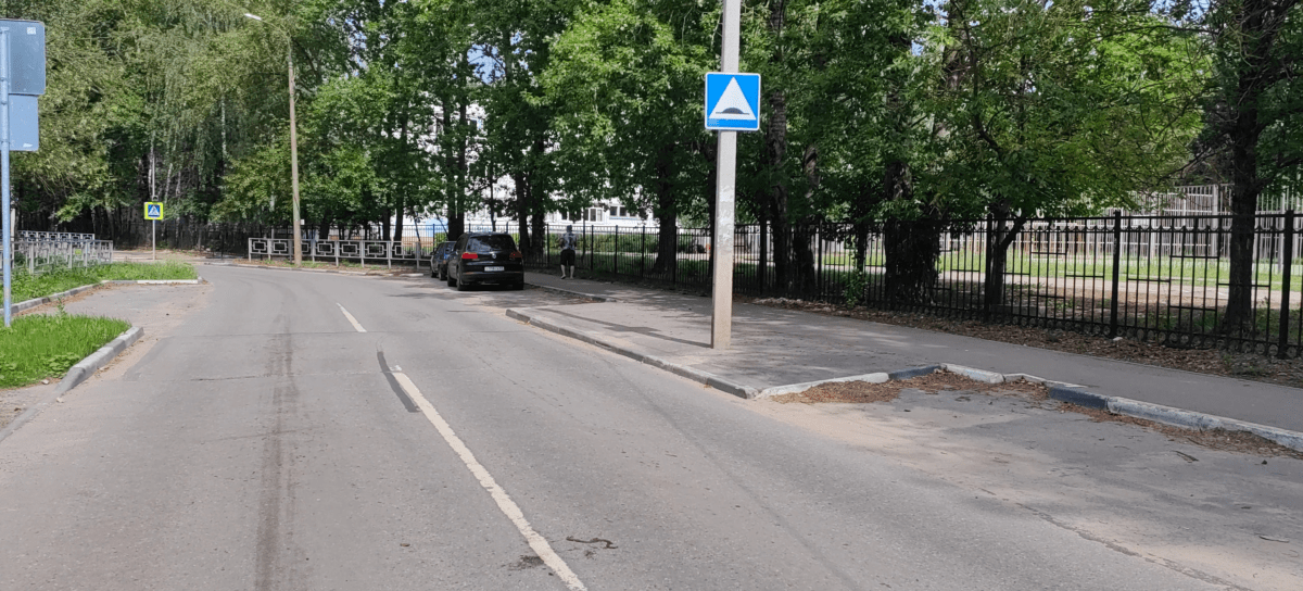 Возле школы в Твери ползала гадюка